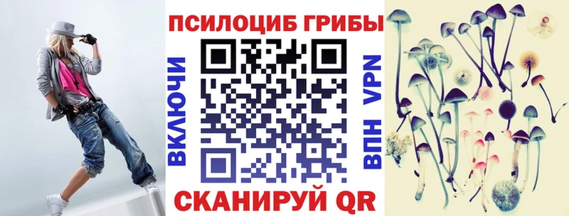 где купить наркоту  Ефремов  Галлюциногенные грибы Cubensis 